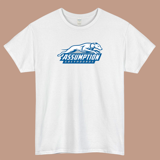 Assumption Greyhounds Logo Mens Unisex Short Sleeve T-Shirt Size S-3XL - P