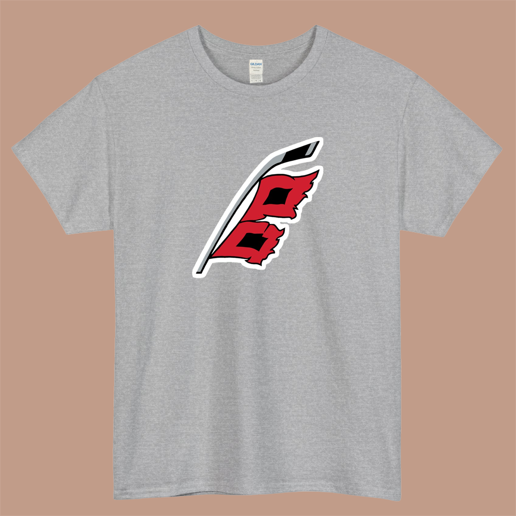 Carolina Hurricanes Alternative Logo Mens Unisex Short Sleeve T-Shirt Size S-3XL - P