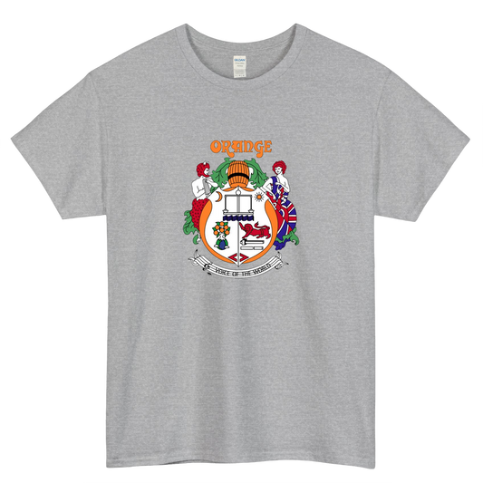 Orange Amplification logo short sleeve t shirt size S-3XL-P