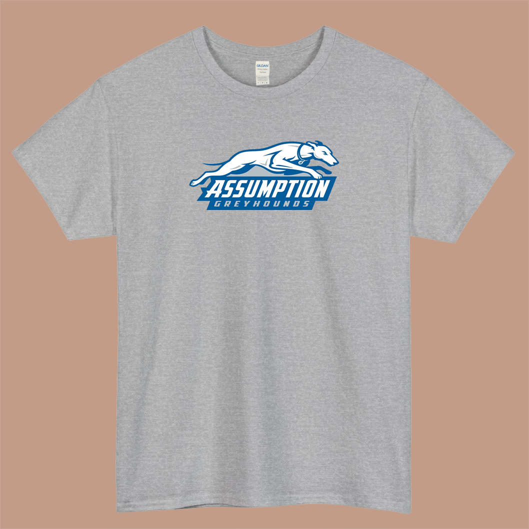 Assumption Greyhounds Logo Mens Unisex Short Sleeve T-Shirt Size S-3XL - P