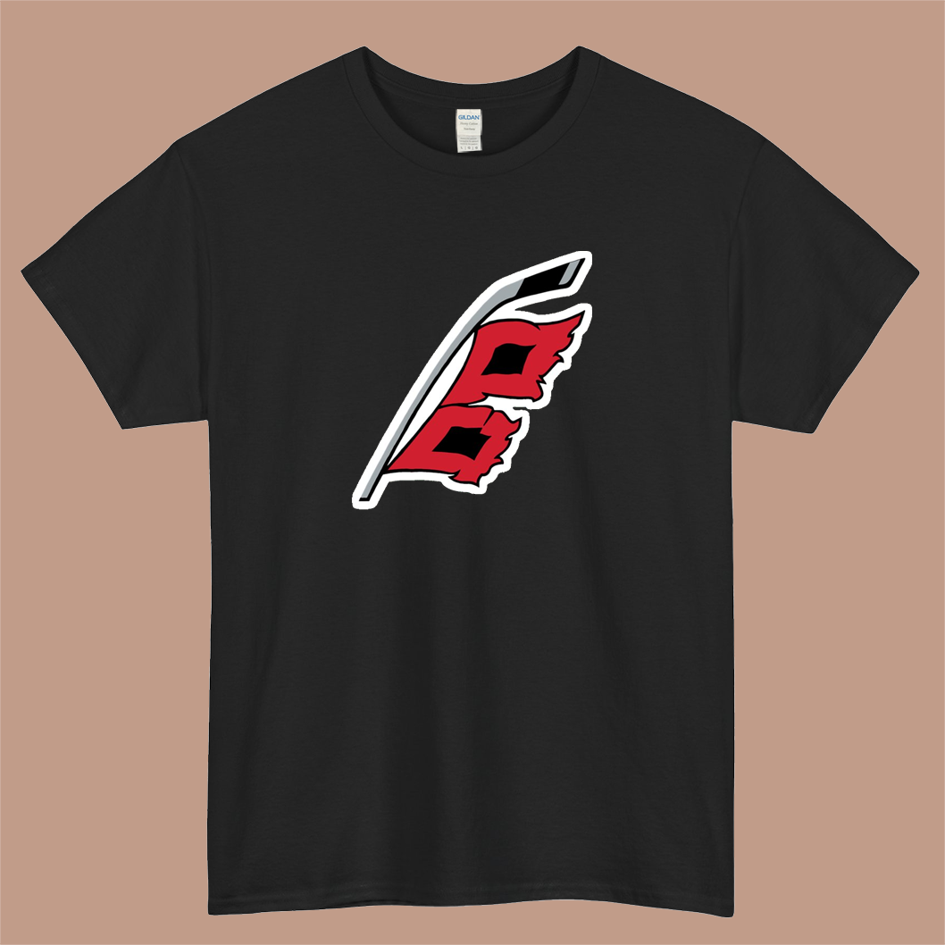 Carolina Hurricanes Alternative Logo Mens Unisex Short Sleeve T-Shirt Size S-3XL - P