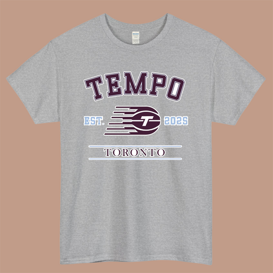 Toronto Tempo WNBA Logo Mens Unisex Short Sleeve Gray T-Shirt Size S-3XL